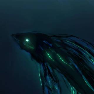 Underwater creatures wallpaper
