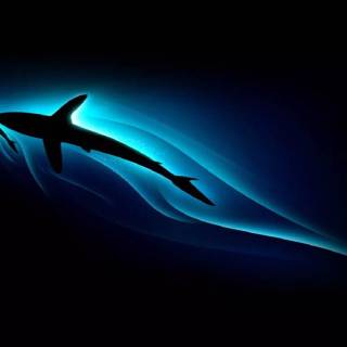 Underwater creatures wallpaper