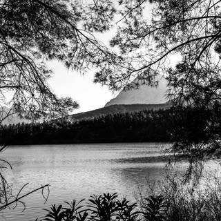 Black lake wallpaper