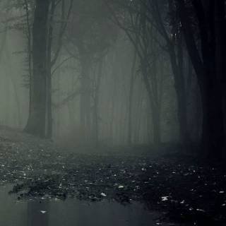 Black lake wallpaper