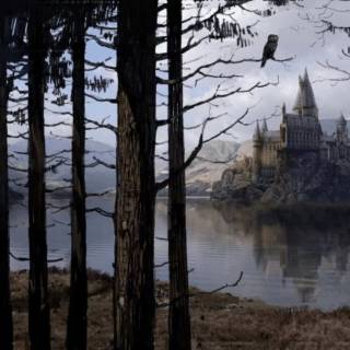 Black lake wallpaper