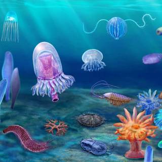 Cambrian wallpaper