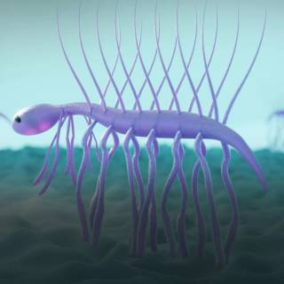 Cambrian wallpaper
