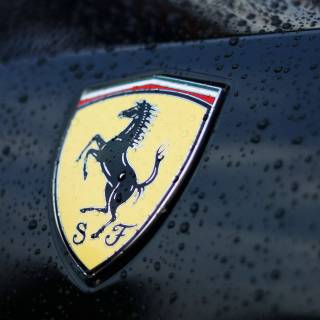 Scuderia Ferrari logo wallpaper
