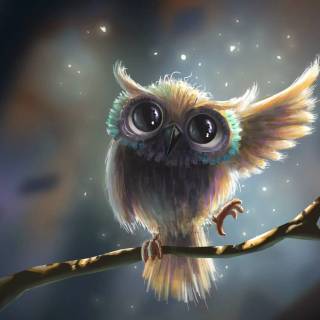 Cute fall owls wallpaper