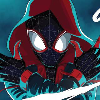 Spider-Man Macbook wallpaper