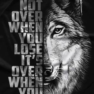 It's Not Over wallpaper