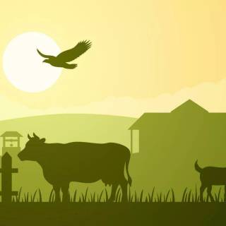 Cattle ranch wallpaper