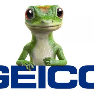 Geico lizard wallpaper