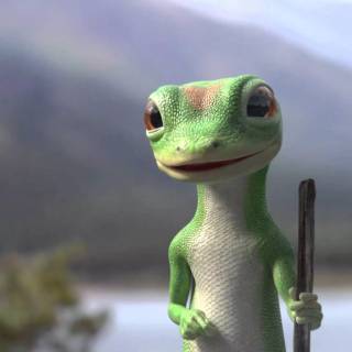 Geico lizard wallpaper