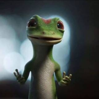 Geico lizard wallpaper