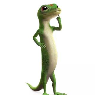 Geico lizard wallpaper