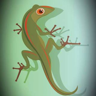 Gecko phone wallpaper