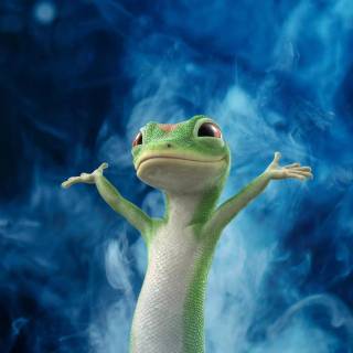 Geico lizard wallpaper