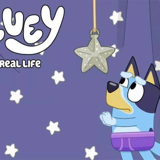 Funny Bluey wallpaper