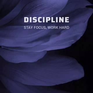 Winter discipline wallpaper