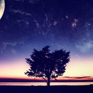 Moon landscape 4k wallpaper