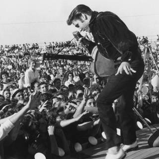 Elvis Presley 4k wallpaper