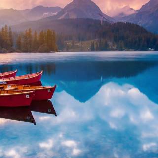 4k nature portrait wallpaper