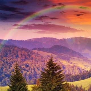 Nature scenery wallpaper