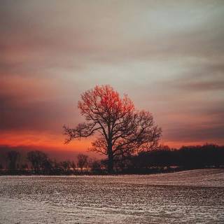 4k nature vertical wallpaper