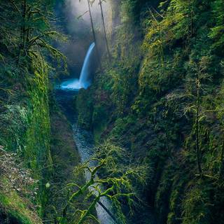 4k nature vertical wallpaper