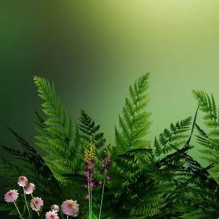 Nature 8k mobile wallpaper