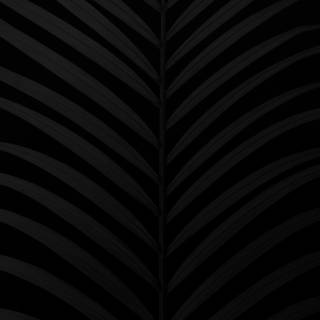 Phone dark simple wallpaper