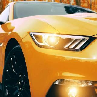 Vehicle phone wallpaper