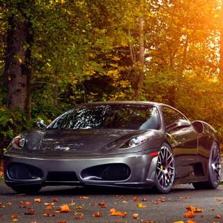 Vehicle phone wallpaper