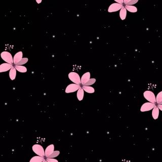 Black and pink iPhone wallpaper