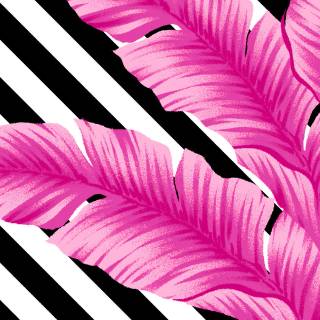 Black and pink iPhone wallpaper