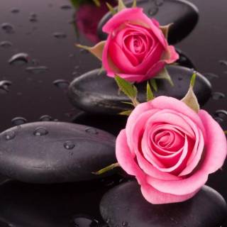 Black and pink iPhone wallpaper