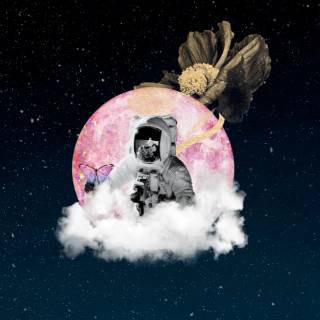 iPhone XR astronaut wallpaper