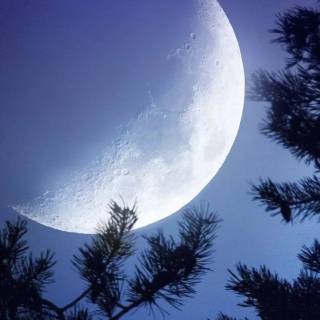 iPhone 7 Plus moon wallpaper