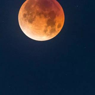 iPhone 7 Plus moon wallpaper