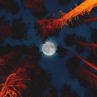 iPhone 7 Plus moon wallpaper