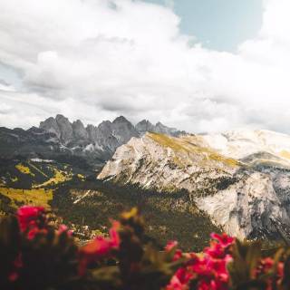 iPhone banner wallpaper