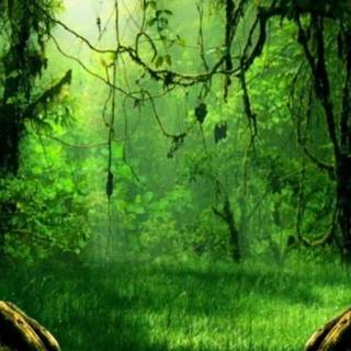 iPhone XR jungle wallpaper