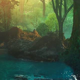 iPhone XR jungle wallpaper