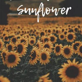 iPhone X quotes wallpaper