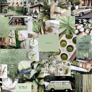 Green collage desktop wallpaper