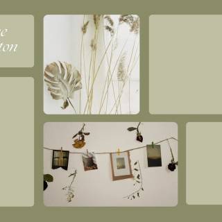 Green collage desktop wallpaper