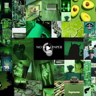 Green collage desktop wallpaper