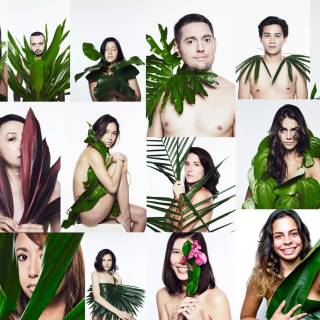 Green collage desktop wallpaper