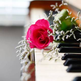 Piano desktop wallpaper