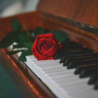 Piano desktop wallpaper