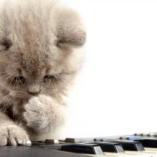 Piano desktop wallpaper