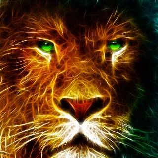 Narnia desktop wallpaper