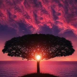 Purple sky desktop wallpaper